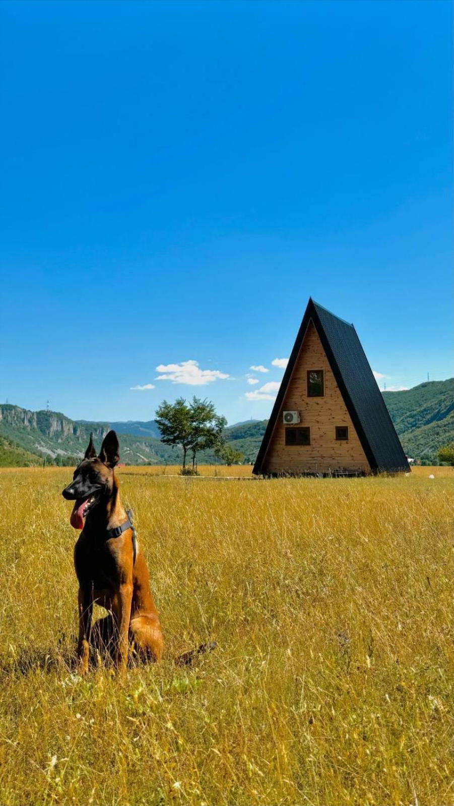 Вилла Silence House Savnik Экстерьер фото